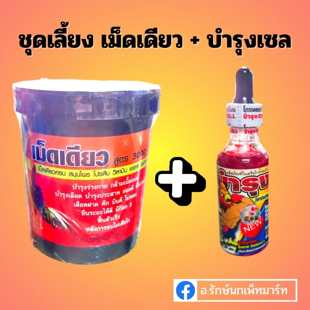 ชุดเลี้ยงไก่คึกดุดัน ตัวแดง บินดี (เม็ดเดียว 3000ตึง + บำรุงเซลล์) .คลับไก่ชน