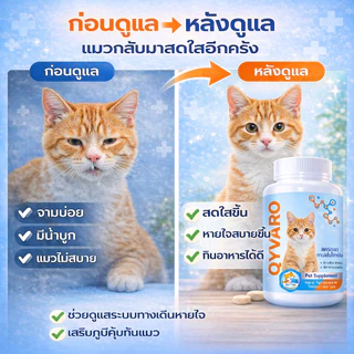 QYVARO อาหารเสริมแมว ดูแลแมวไม่สบาย หวัดแมว จาม น้ำมูกไหล เสริมภูมิแมว บำรุงทางเดินหายใจ
