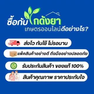 โกรฮอร์ม 1ลิตร ตรา อาชาทอง ฮอร์โมน บำรุงดอก เปิดตาดอก แปลงเพศ ผสมเทียม