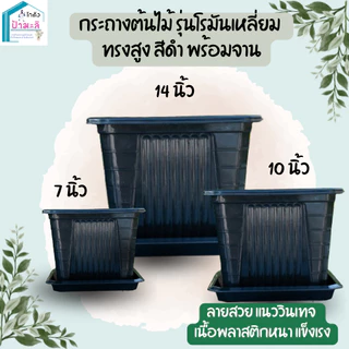 กระถางต้นไม้ รุ่นโรมัน สี่เหลี่ยม ทรงสูง พร้อมจาน ขนาด 7 นิ้ว 10 นิ้ว 14 นิ้ว