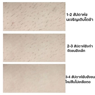 Hair Removal Cream ครีมขจัดขนน้องสาว 100ml+50ml สูตรอ่อนโยน มูสกำจัดขน สเปรย์กำจัดขน กำจัดขนขา กำจัดขนรักแร้ กำจัดขนน้อง