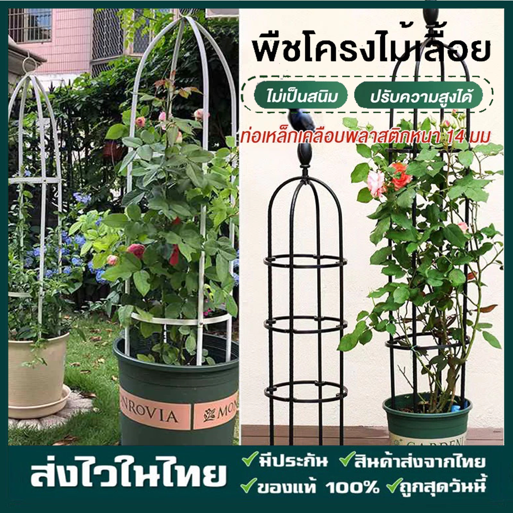 ซุ้มไม้เลื้อย ซุ้มโครงเหล็ก ซุ้มกุหลาบเลื้อย ซุ้ม13mm ของแต่งสวน ซุ้มงานแต่ง แข็งแรงมากขึ้น ประกอบได้ 3ขนาด