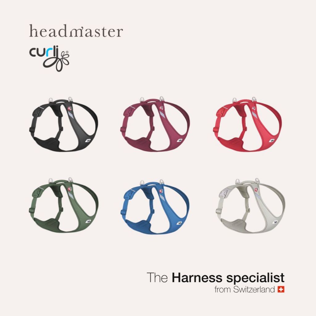 curli All New Belka Air Mesh Harness สายรัดอก สายรัดอกสุนัข สายรัดอกสุนัขขนาดใหญ่