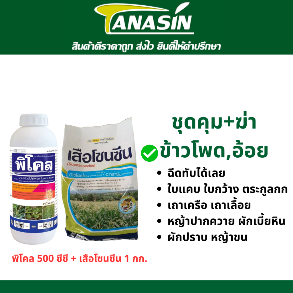 พิโคล + เสือโซนซีน คุม+ฆ่าหญ้าในข้าวโพด ไร่อ้อย กำจัดหญ้าใบแคบใบกว้าง กก เถาเครือ ผักบุ้ง ฉีดทับได้