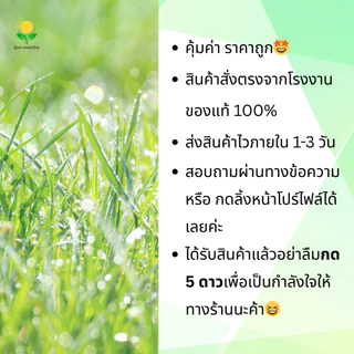 กลูโฟซิเนต กำจัดหญ้า ขวด 4 ลิตร ตราจระเข้บิน (น้ำทอง) (กลูโฟซิเนต-แอมโมเนียม 15%)