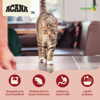 ACANA Indoor Entree Cat 340 ก. (อคานา อินดอร์ อองเทร แคท) สูตรแมวเลี้ยงในบ้านและทำหมัน