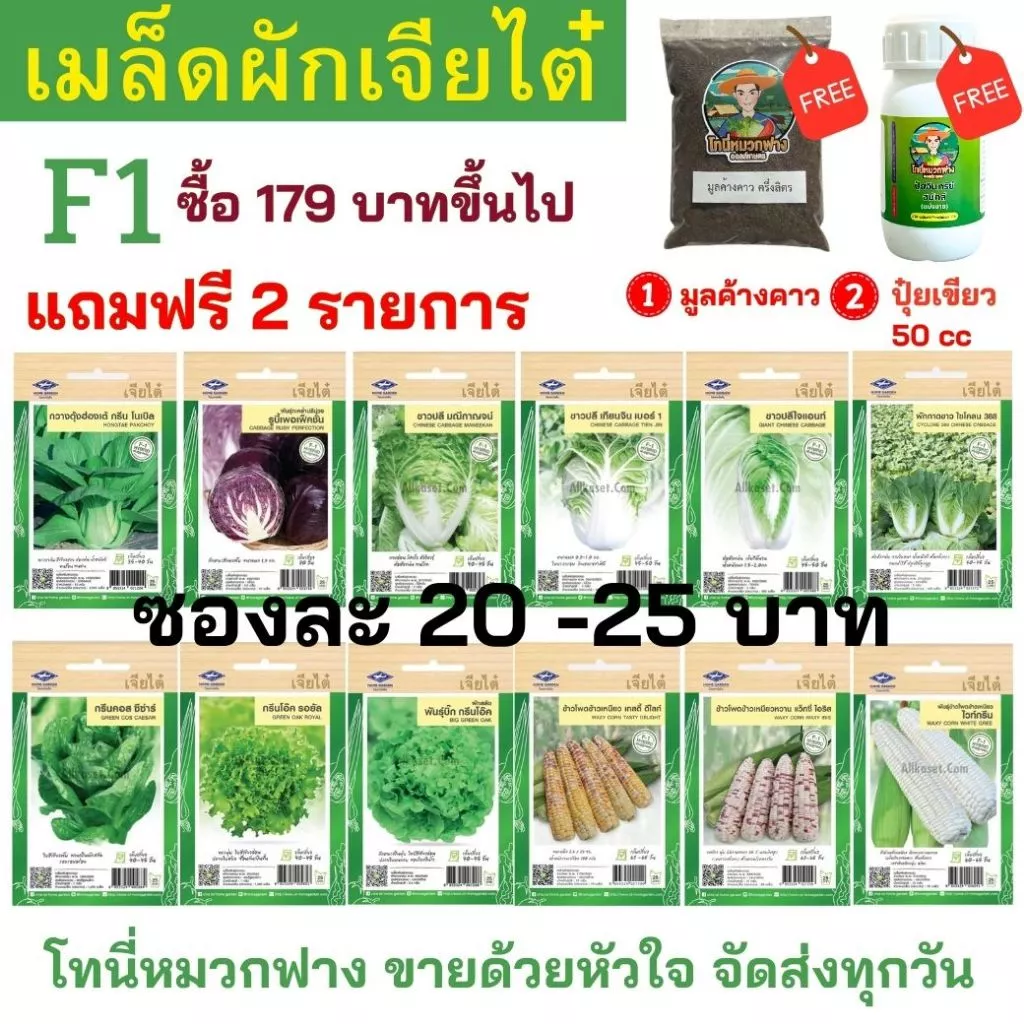 เมล็ดผัก เจียไต๋ F1 ซองละ 25 บาท ซื้อยอด 179 บาทขึ้นไปแถมฟรีมูลค้างคาว+ปุ๋ยเขียว50cc
