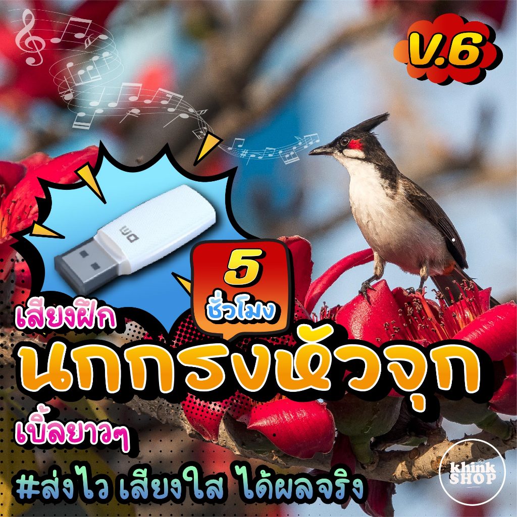 เสียงฝึกนกกรงหัวจุก V.6 เบิ้ลยาวๆ แแฟลชไดรฟ์ เมม ไม่มีโฆษณาแทรก มีเก็บเงิน