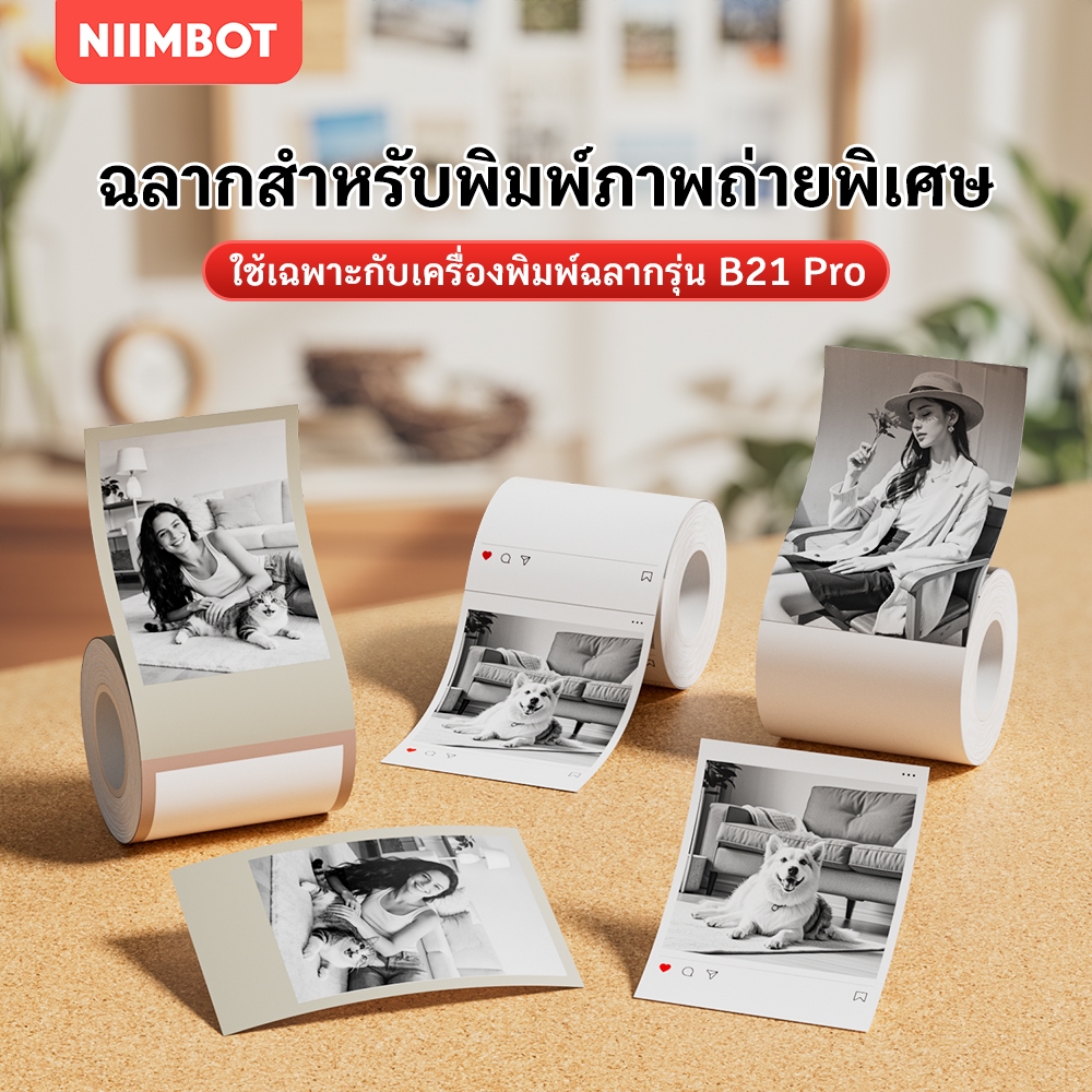 NIIMBOT B21Pro กระดาษภาพถ่ายพิเศษ, สติกเกอร์ฉลากภาพและรูปถ่าย, เครื่องพิมพ์ภาพถ่ายแบบพกพา