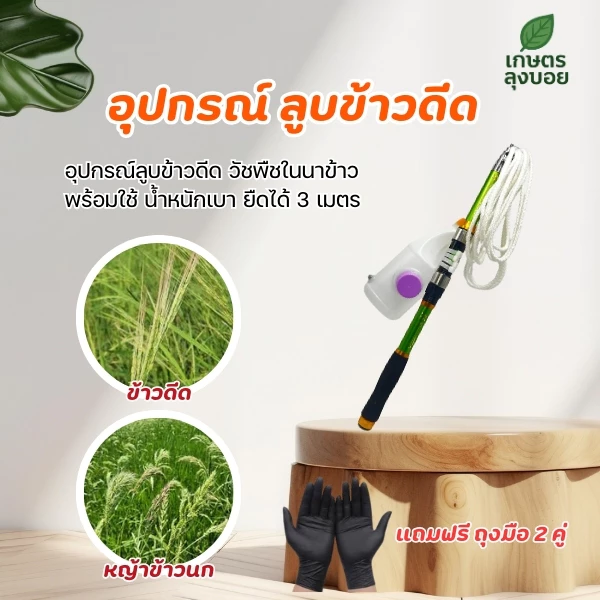 อุปกรณ์รูดข้าวดีด หญ้าวัชพืช ในนาข้าว น้ำหนักเบา พกพาสะดวก
