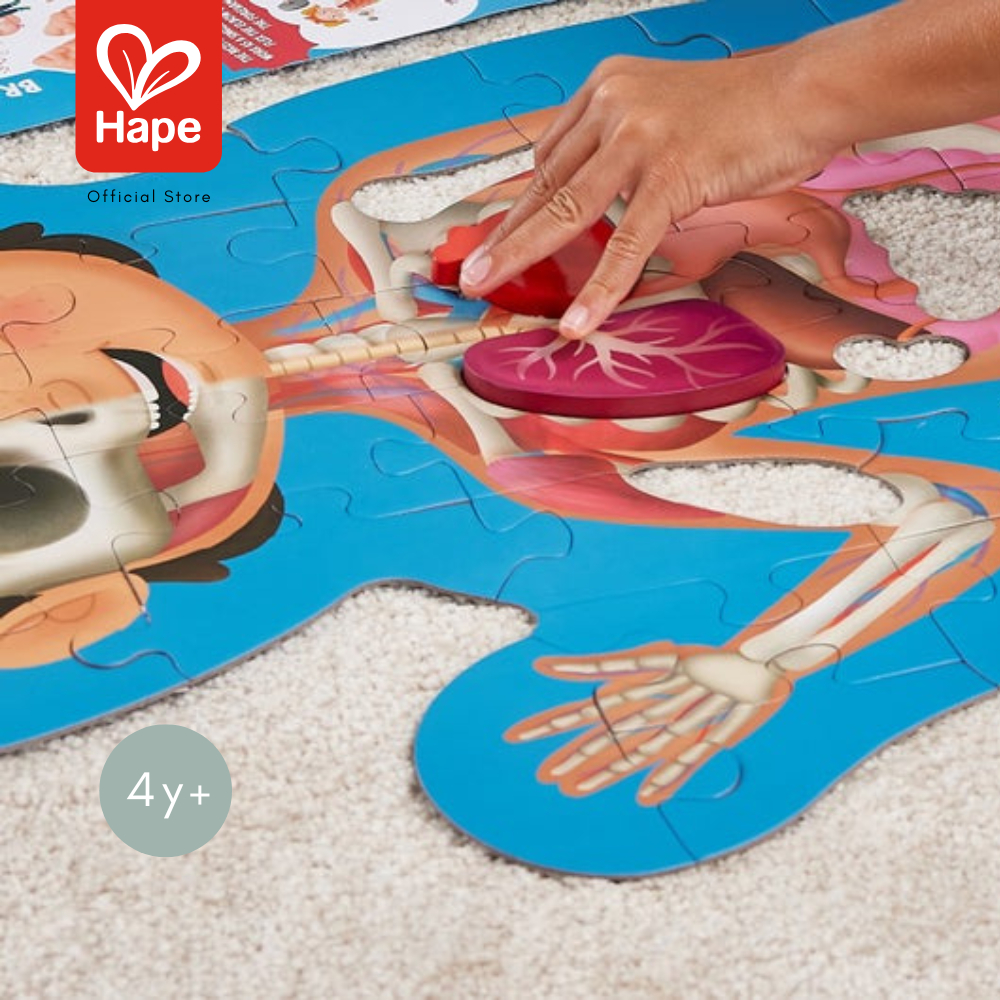 Hape Human Body Puzzle	จิ๊กซอว์ อะไรในร่างกายหนู ยาว 1m เท่าขนาดคน	4Y+ รูปที่ 4