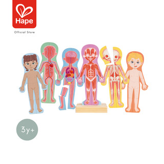 HAPE Human Body Magnetic Puzzle أحجية جسم الإنسان المغناطيسية 3Y+ صورة 9