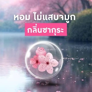 ทำบ้านให้น่าอยู่ KAYARI ยาจุดกันยุง คายาริ X-5 10 ขด กลิ่น ซากุระ รับประกันของแท้