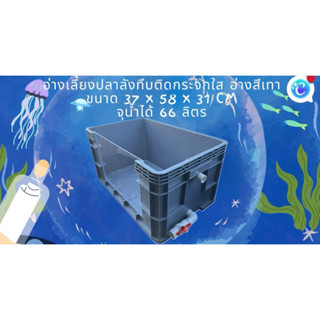 อ่างเลี้ยงปลาลังทึบสีเทาติดกระจกใส จุน้ำได้ 66 ลิตร วาล์วขาว…