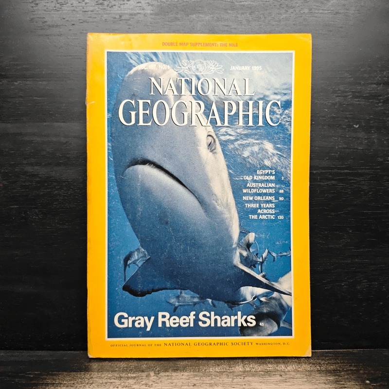 NATIONAL GEOGRAPHIC January 1995 🏷️1180224