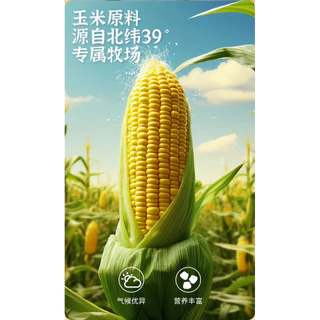 ข้าวโพดอบกรอบ ขนมข้าวโพดอบ กรอบ อร่อย 180กรัม รสออริจินัล รสเกลือ Corn Snack 玉米力