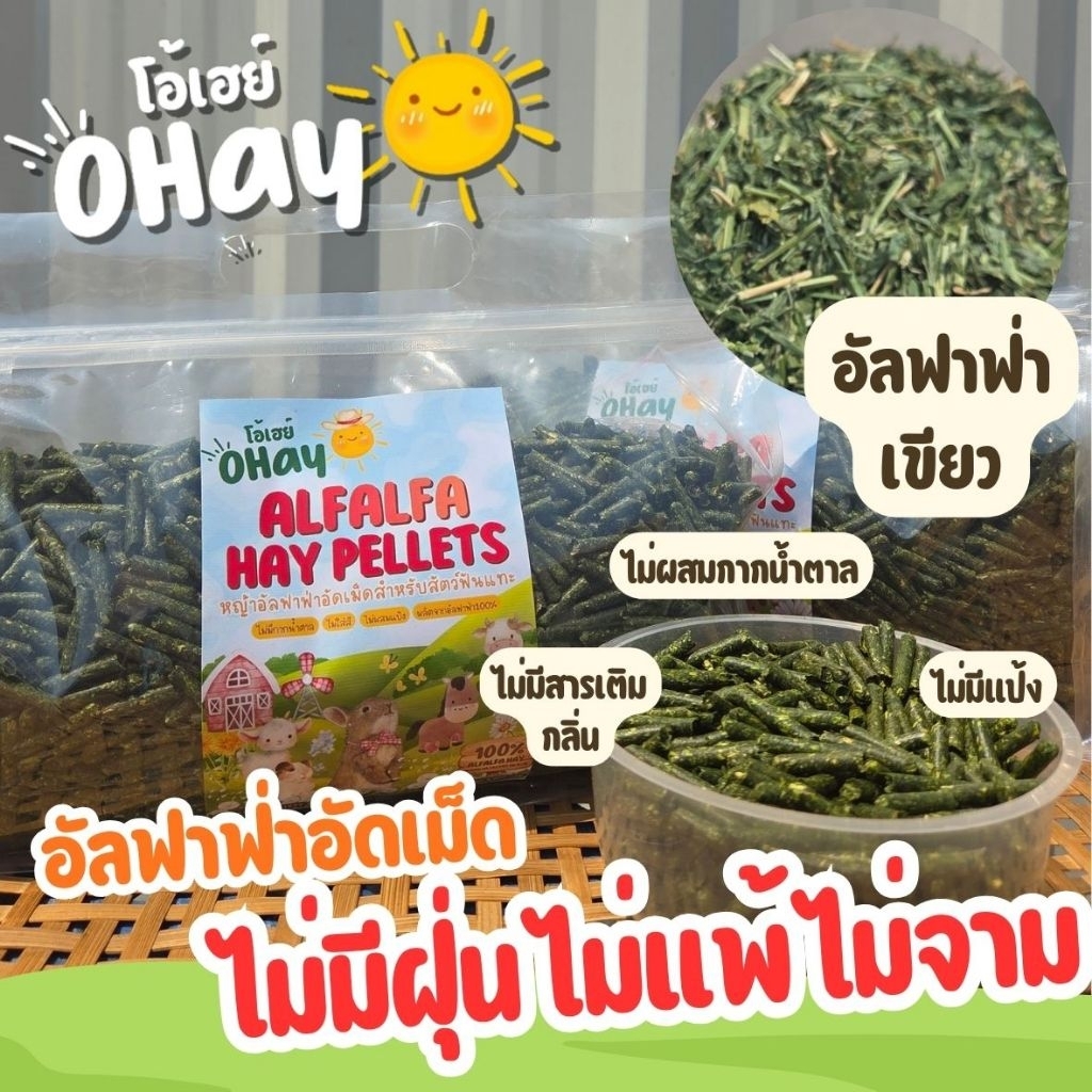 🔥NEW หญ้าอัดเม็ดพรีเมียมเกรด 1.5 โลหญ้าล้วน100%ทานได้ทุกวัย🔥อาหารกระต่าย หญ้ากระต่ายอัดเม็ดปลอดฝุ่น