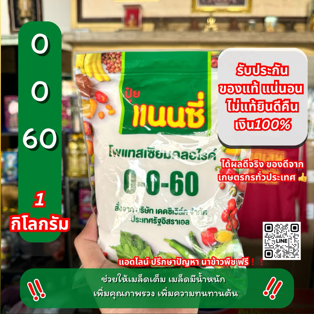 10 ไร่ 0-0-60 ปุ๋ยเกร็ด แนนซี่ ช่วยให้เมล็ดข้าวเต็มเพิ่มน้ำหนัก เพิ่มคุณภาพรวง 1 กิโลกรัม