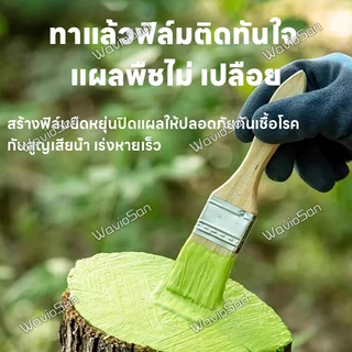 🌲สมานแผลเร็ว🌲ยาทาแผลต้นไม้ ทาแผลต้นไม้ ยาทาแผลต้นไม้ป้องกันเชื้อรา เคลือบปกป้องแผล ใช้ได้หลายพืช