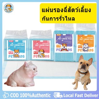 【พร้อมส่ง】 แผ่นรองฉี่สุนัข ซึมซับไดีดี ต่อต้านแบคทีเรีย แผ่น…
