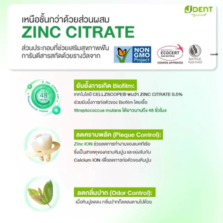 JDENT Jula's herb 3IN1 Herbal White Toothpaste เจเด้นท์ จุฬาเฮิร์บ ยาสีฟัน สมุนไพร สูตรออริจินัลเฟรช