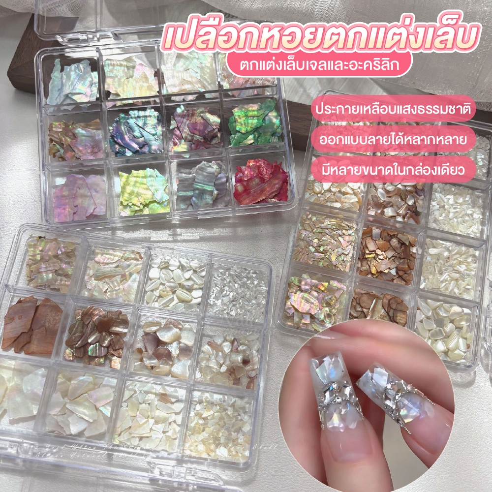 ชุดเปลือกหอยธรรมชาติ Aurora Abalone 12 ช่อง แผ่นบางพิเศษ ติดเล็บง่าย เปลือกหอยธรรมชาติ ที่ให้เอฟเฟกต์ประกาย Aurora