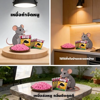 ยาเบื่อหนูแห้ง 200g (10 แพ็ก) กำจัดหนูทั้งรัง พิษหนูทรงพลัง ใช้ในบ้านและนอกบ้าน เหยื่อดักหนู แรง