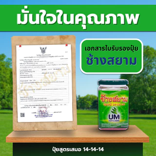 ปุ๋ยช้างสยาม 3 กระปุก ปุ๋ยหลัก สูตรปุ๋ยเร่งโต 14-14-14