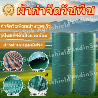 ผ้าพลาสติกสีเขียวสำหรับกำจัดวัชพืช มีความทนทานและมีประสิทธิภ…