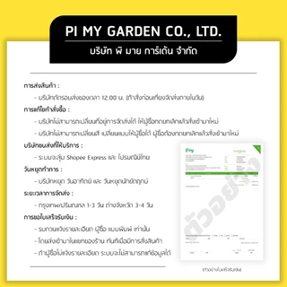 กระถางแคคตัส ทรงสี่เหลี่ยม 2 นิ้ว สีดำ แพ็ค 1000 ใบ