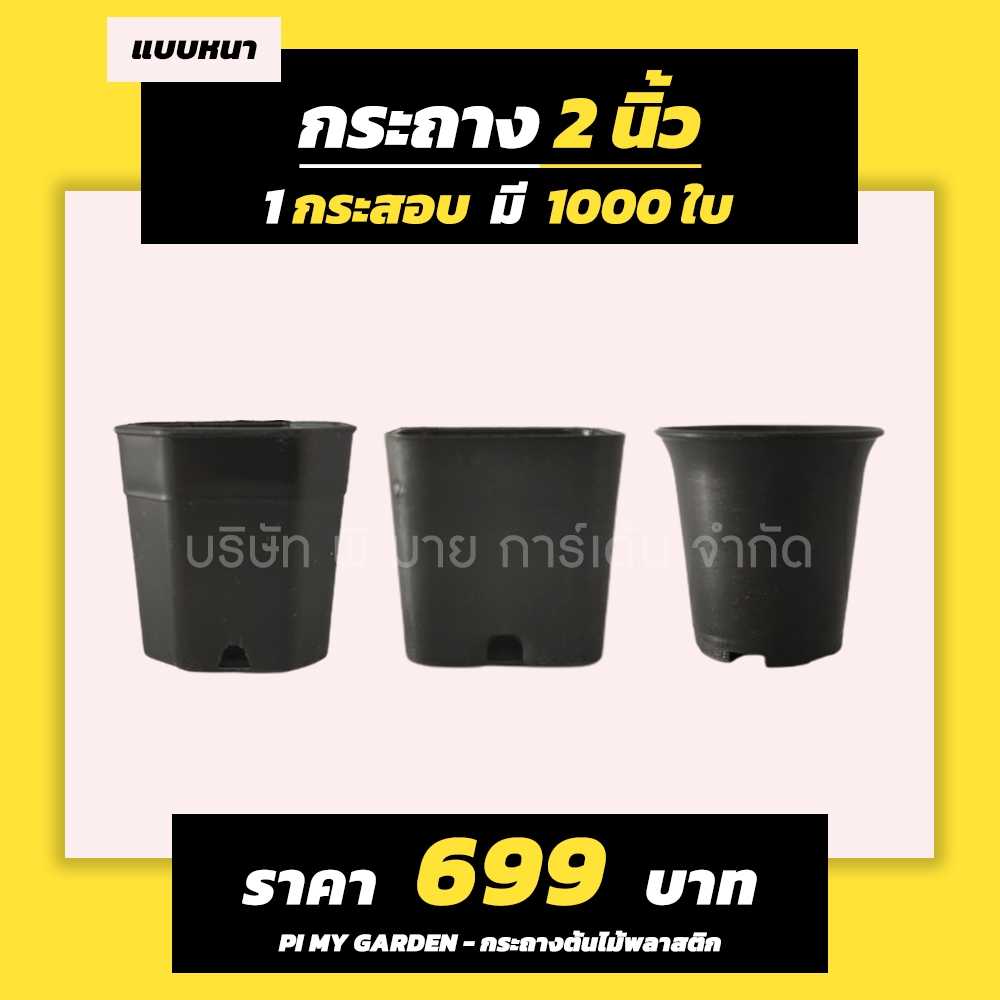 กระถางแคคตัส ทรงสี่เหลี่ยม/ปากแตร/แปดเหลี่ยม 2 นิ้ว สีดำ แพ็ค 1000 ใบ