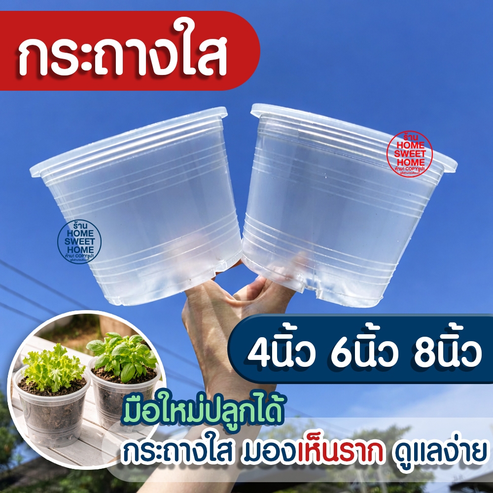 *กระถางใส* กระถางพลาสติกใส กระถางต้นไม้ 4/5.5/6/8 นิ้ว สีใส ส่องราก ราคาโรงงาน พลาสติกหนา คุณภาพดี outlet