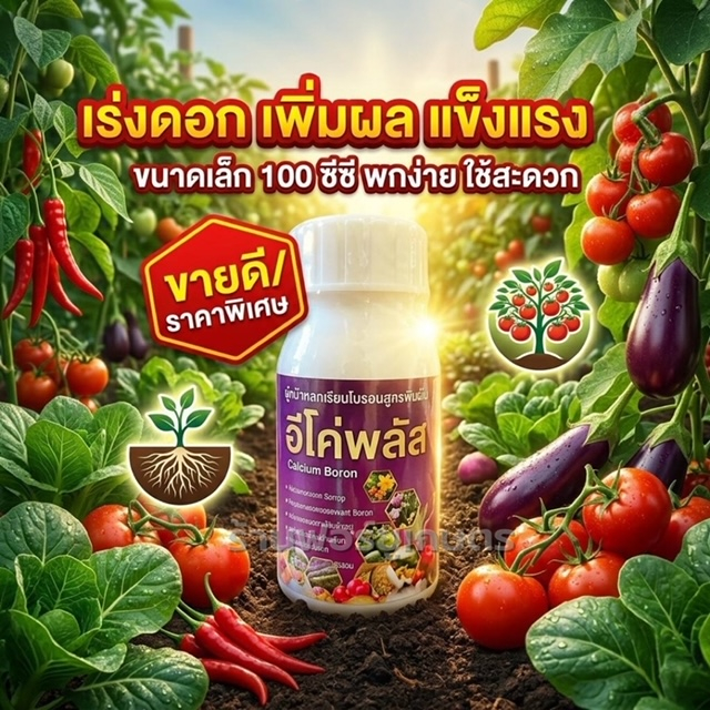 ขนาดทดลอง 100 ซีซี โบรอนแคลเซียม อีโค่พลัส เร่งดอก เพิ่มผล ต้นแข็งแรง พร้อมส่ง