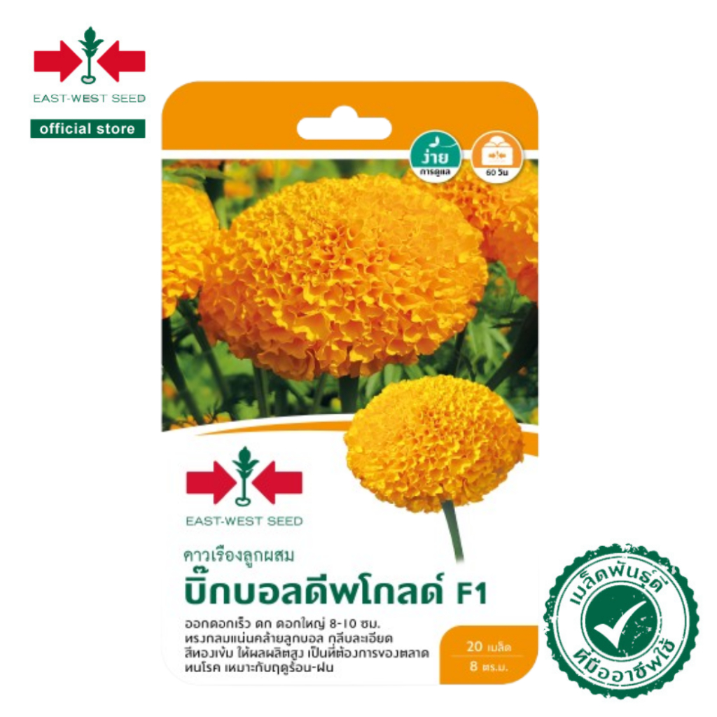 ศรแดง เมล็ดพันธุ์ดาวเรือง F1 บิ๊กบอลเยลโลว์ (East-West Seed) เมล็ดพันธุ์ ผักสวนครัว ตราศรแดง