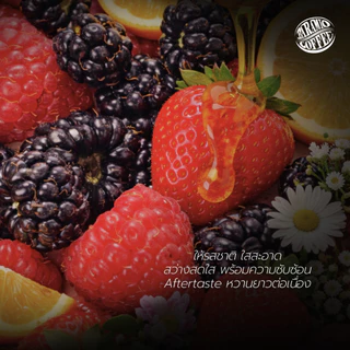 Baramio เมล็ดกาแฟคั่ว Noble 250g.- 1Kg.(Arabica100% : Thai/Ethiopia/Kenya) Tasting Notes:Berry, Citrus, Floral, Honey