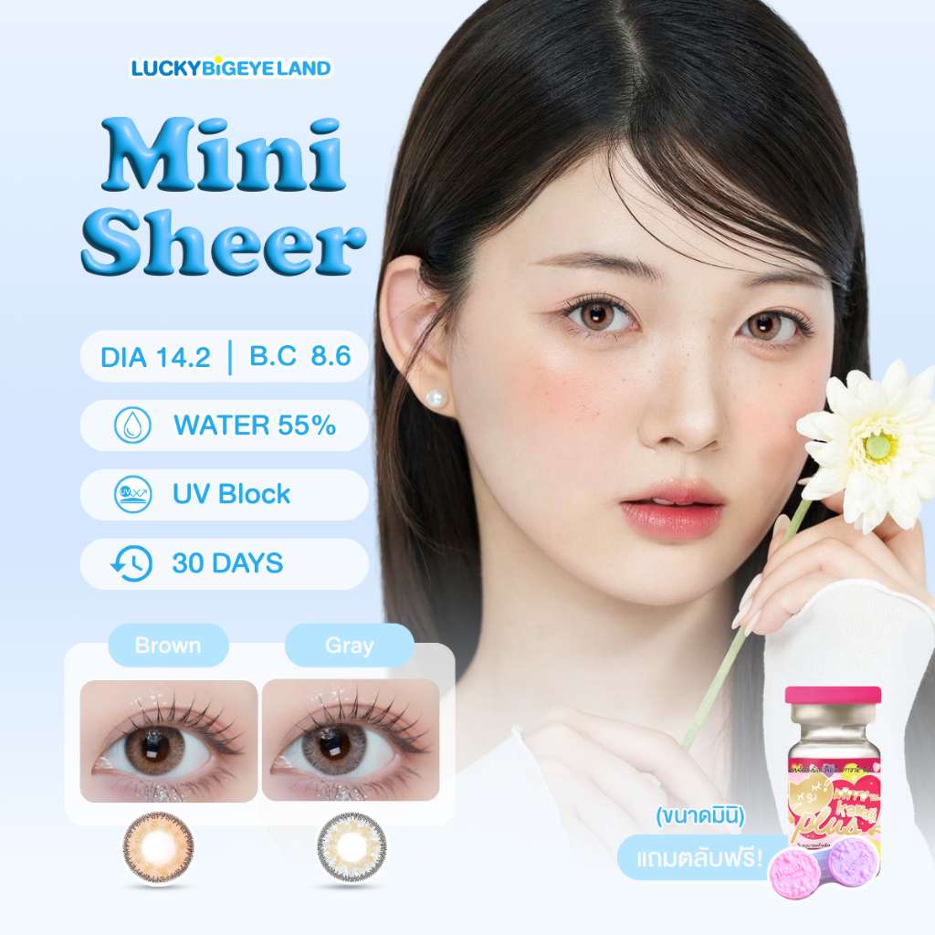 คอนแทคเลนส์ Mini Sheer Brown / Gray (Kitty Kawaii) ขนาดมินิ 🌷