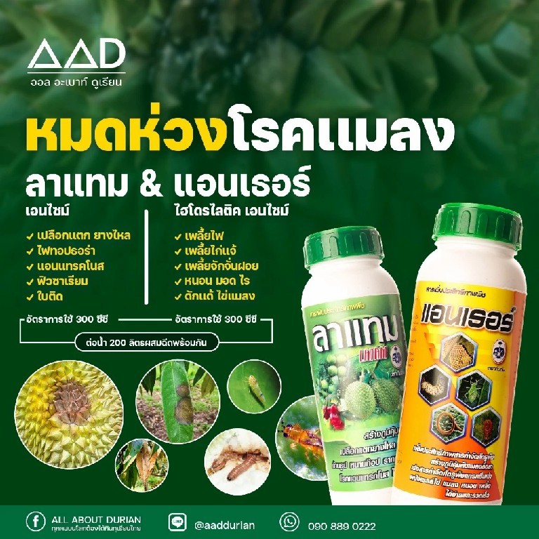 ลาแทมแอนเธอร์ ตรากัปตัน ขนาด 1 ลิตร