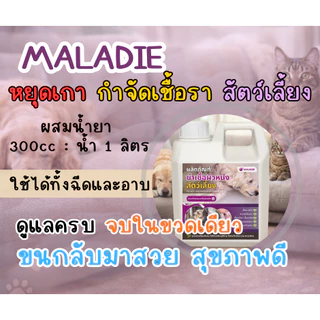 𝗠𝗔𝗟𝗔𝗗𝗜𝗘 สมุนไพรลดอาการคัน กำจัดเชื้อรา ตัวช่วยลดอาการคัน ลดขนร่วง หมาผิวหนัง แก้หมาขี้เรื้อน ปลอดภัยกับสัตว์เลี้ยง
