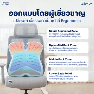 Lunio Ergo เบาะรองหลัง ใบใหญ่รองรับเต็มแผ่นหลัง ช่วยปรับท่านั่งให้หลังตรง ลดอาการออฟฟิศซินโดรม รุ่น Pro Back Cushion