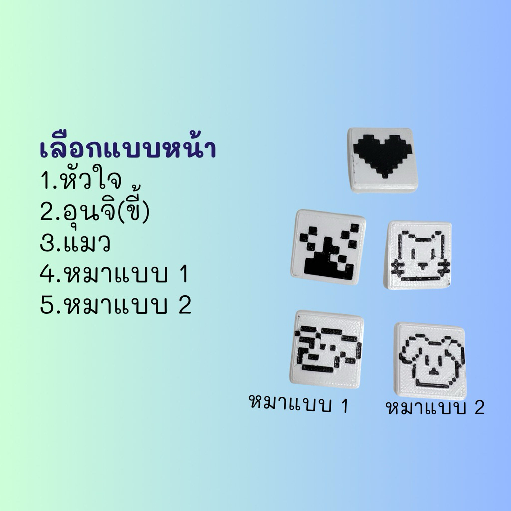 ปุ่มกด tatagotji มี 5 แบบ เฉพาะหน้าตัวกด