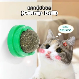 Boqi Factory แคทนิปบอล ติดกำแพง ไม่กลิ้งหาย catnip ball XJ55