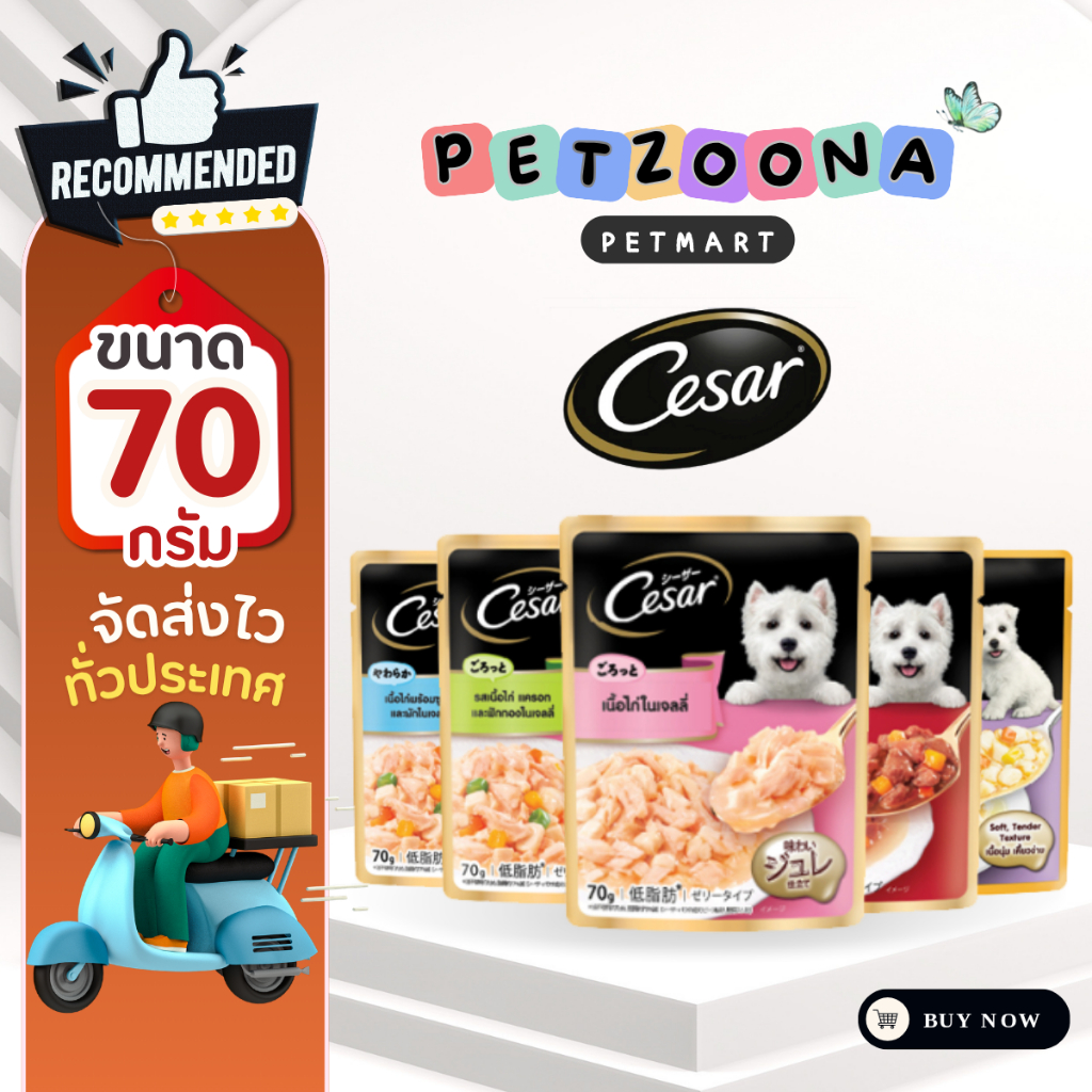 Cesar Premium Dog Pouch อาหารเปียกสุนัข แบบถาด ทุกรสชาติ 100g. [แพ็ค 6 ถาด]
