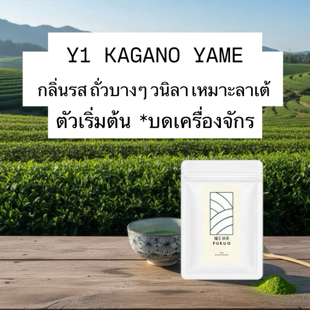 มัทฉะ Matcha Fukuo Y1 Premium Matcha มัทฉะ โทนถั่ว จากญี่ปุ่น 🇯🇵 ของแท้
