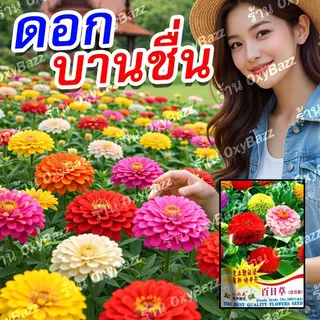 เมล็ดดอกบานชื่น 200 เมล็ด คละสี ดอกใหญ่ สีสด ปลูกง่าย โตไว ออกดอกเร็ว ปลูกในกระถางและแปลง