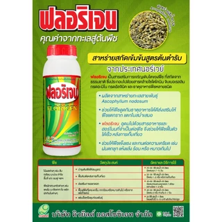 ยกลัง 12 ขวด ฟลอริเจน ขนาด 1 ลิตร สาหร่ายทะเลสกัดเข้มข้น สารเพิ่มประสิทธิภาพพืช