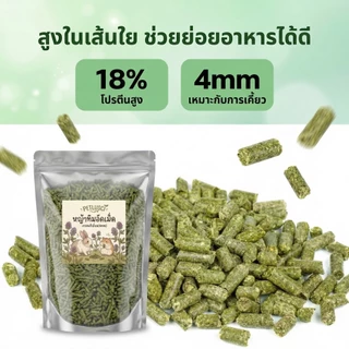 PETLUSCI® หญ้าอัลฟาฟ่าอัดเม็ด 500ก กัดฟันและทําความสะอาดฟัน ดูแลระบบย่อยอาหาร ลดกลิ่นไม่พึงประสงค์