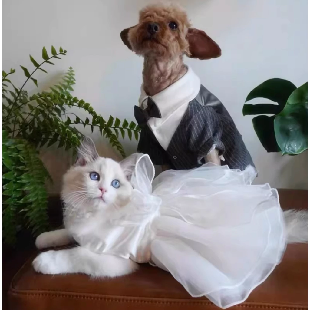 DoggyDolly ชุดสูทหมา ชุดเจ้าสาวหมาแมว ชุดแต่งงานสัตว์เลี้ยง thumbnail 3