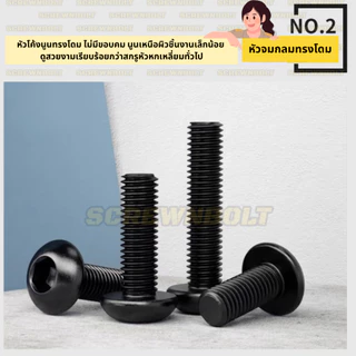 น็อต สกรู หัวจมกลม หกเหลี่ยมใน สแตนเลส 304 ชุบดำ เกลียวมิล หยาบ M5 M6 M8