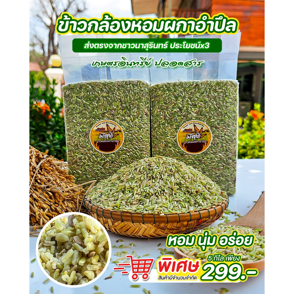 ข้าวกล้องหอมผกาอำปึล 5 กิโล (ระยะน้ำนม) ได้รับรางวัลแชมป์โลก