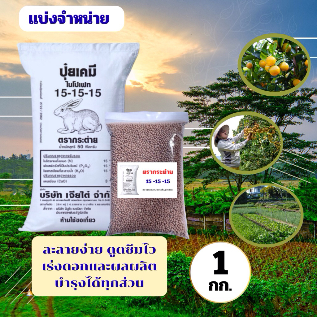 ปุ๋ยตรากระต่าย-เจียไต๋( สูตร15-15-15 )🍃ต้นแข็งแรง ใบเขียวทน แบ่งขาย